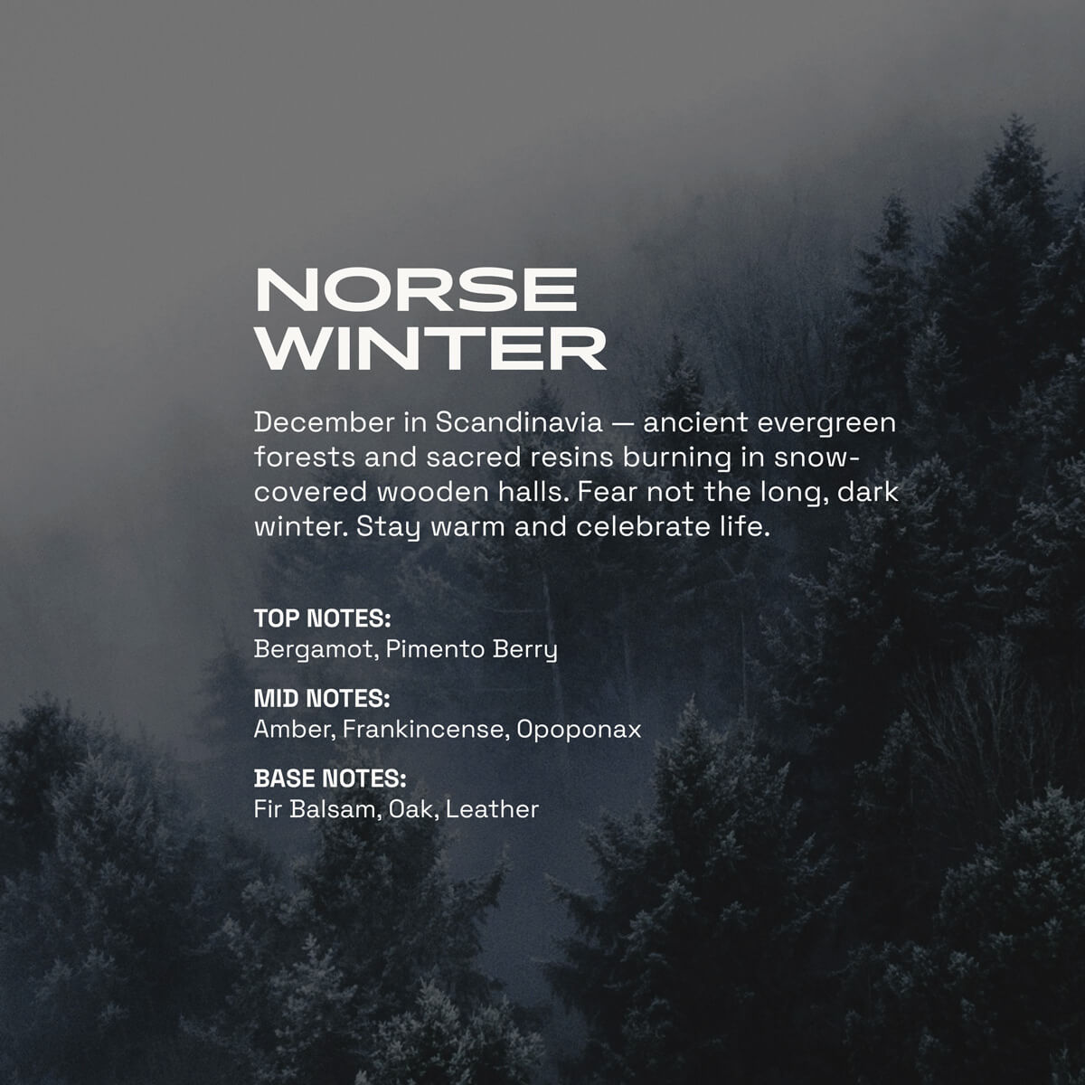 beardbrand-norse-winter-bundle-olio-per-barba-e-colonia image 3