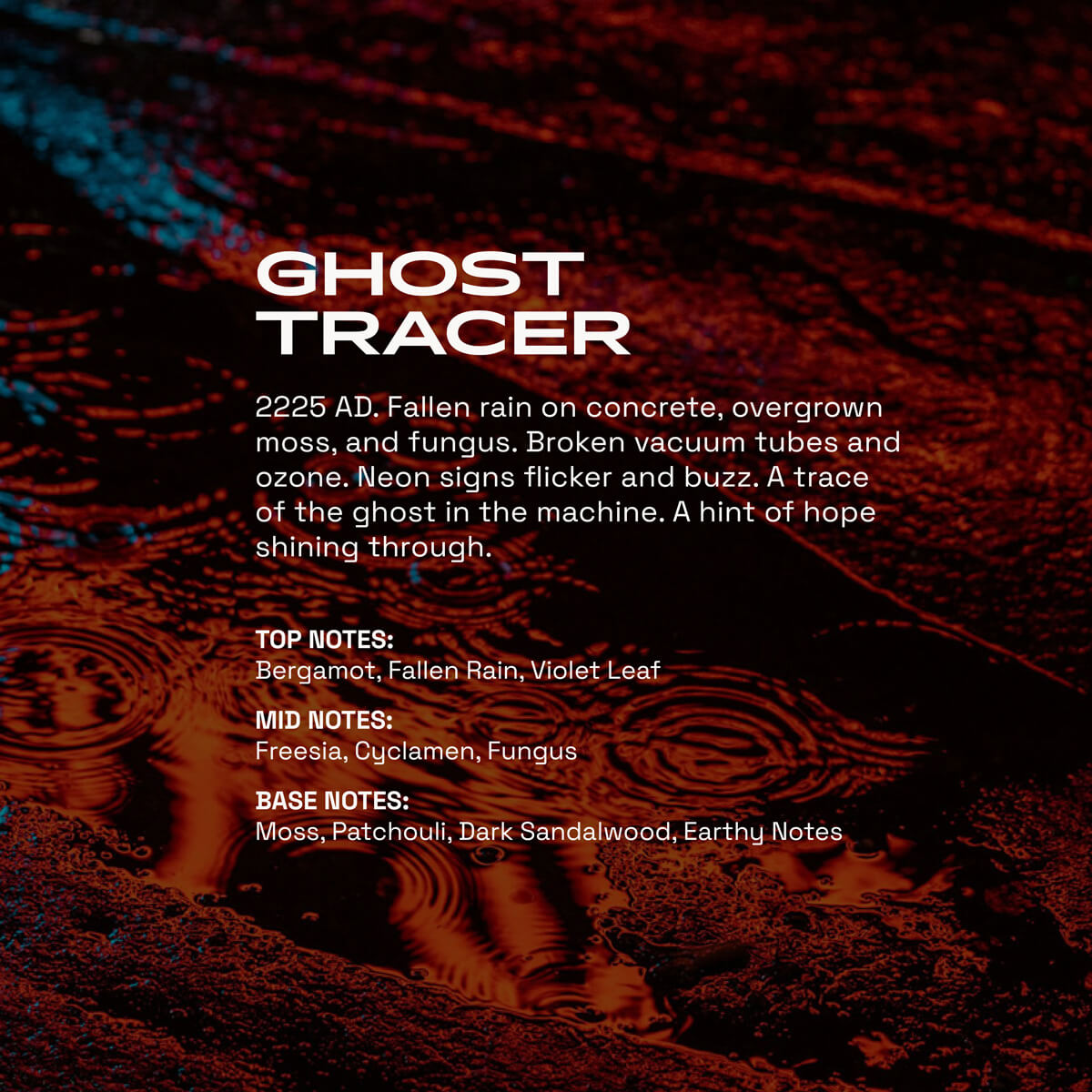 beardbrand-ghost-tracer-men-s-cologne-eau-de-parfum-20-ml image 4